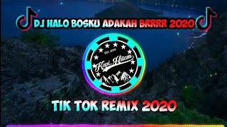 Download Lagu Dj Halo Bosku Adakah Brrrrrr TIK TOK 2020 MP3