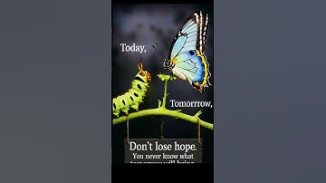 🌿 From Today to Tomorrow — The Beauty of Becoming 🦋 | Inspirational quotes | Motivation | #shorts