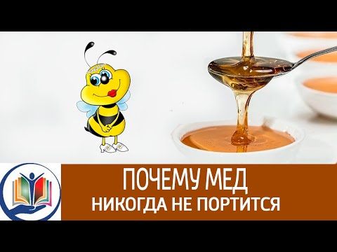 Почему мед никогда не портится