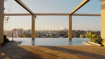 Apartment 401 - Trellis by Aria