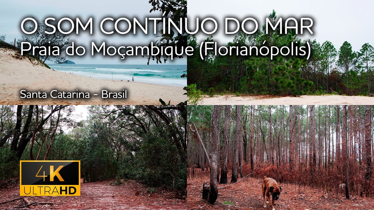 4k Praia do Moçambique (Florianópolis). Som contínuo e relaxante do mar.