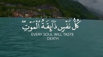 كل نفسٍ ذائقة الموت 💔 تلاوة خاشعة للقارئ عبدالرحمن مسعد  💛 حالات واتس اب   Quran status