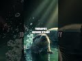 Lanterns for a River Otter