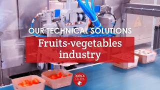 Our packaging solutions for FRUITS-VEGETABLES - iXAPACK GLOBAL