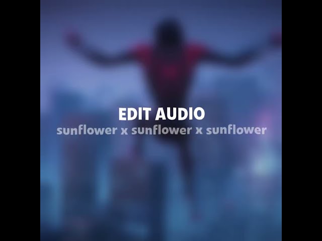 Sunflower x Sunflower - Post Malone ft. Swae Lee (pitched) (TikTok version) class=