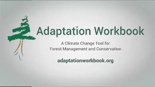 Celebrity Adaptation Workbook 1 2 final Wealth