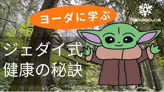 ヨーダ Youtube