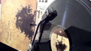 Birsen Tezer - İkinci Cihan ( Orijinal Plak Kayıt )