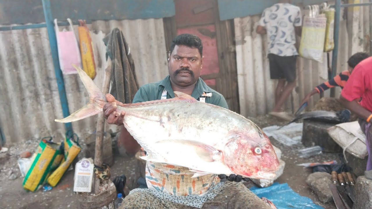 pulli paarai, mosadi fish cutting video/fishcuttingrs #kasimedu # ...