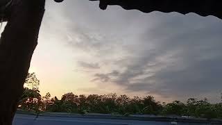 Relaxing Morning Ambience | Morning Atmosphere in a Country Garden
