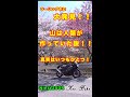 バイクでツーリング中に人類が山を作っている事に気付いてしまったバイカー【 #Ninja250r #ニンジャ250R #ツーリング 】
