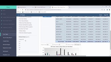 Create a Custom BI/Reporting Suite (Part 8): Creating the Pivot Table