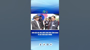 ĐẢM BẢO HÀI HÒA GIỮA XANH HÓA CẢNH QUAN VÀ AN TOÀN GIAO THÔNG | BÁO VÀ PTTH LÂM ĐỒNG