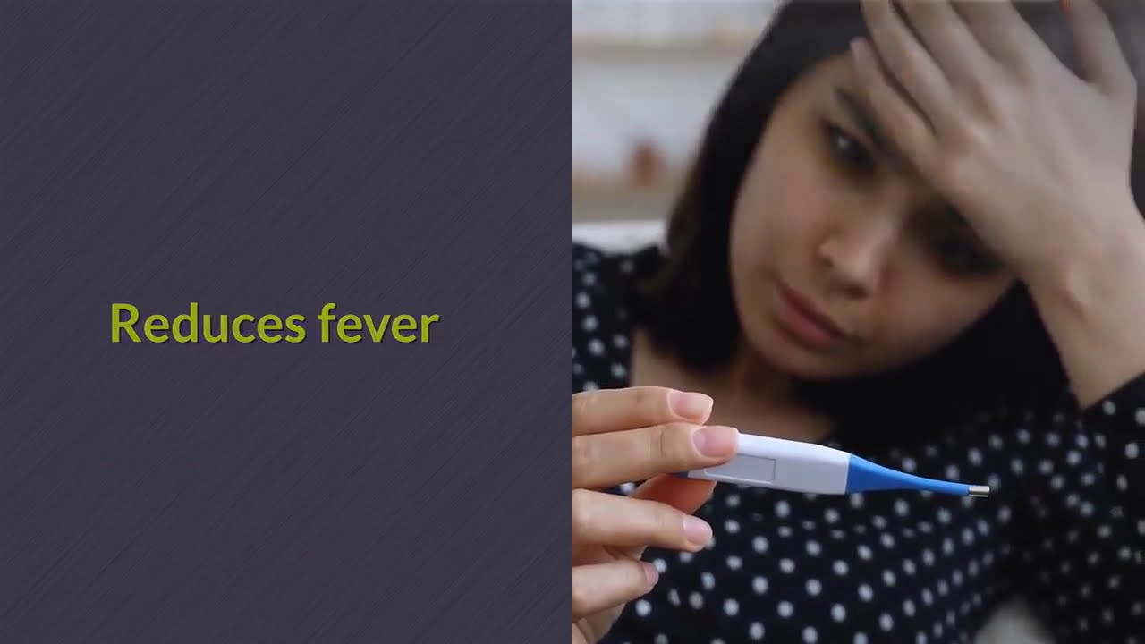 24 Amazing Health Benefits of Guinea Hen Weed Tea