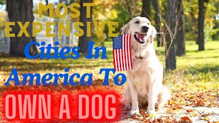 The Shocking Truth Owning a Dog in These American Cities Will Cost You!