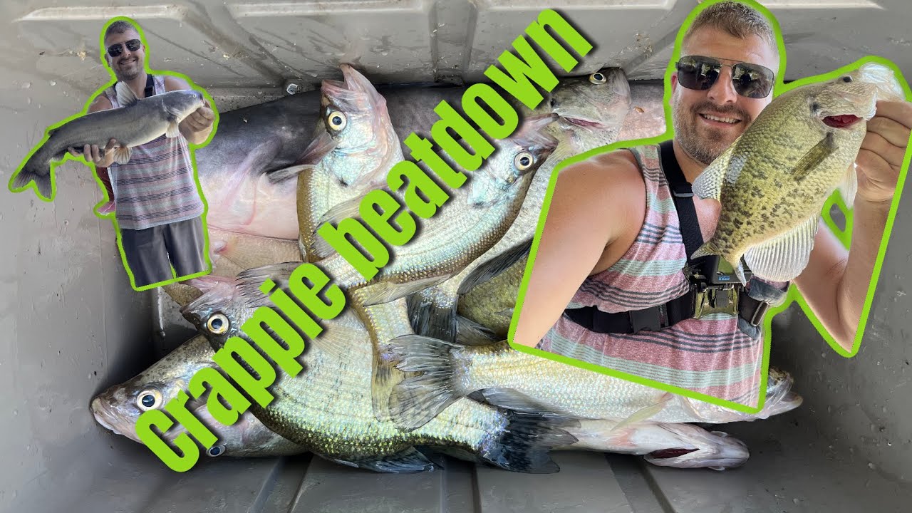 Crappie fishing from a dock gone right! We put the smack down on them! # crappie #fishing 