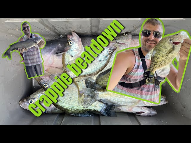 Crappie fishing from a dock gone right! We put the smack down on them! # crappie #fishing 