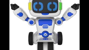 Tipster From Wowwee Video Review