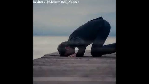 القارئ محمد النقيب وقل اعملوا فسيرى الله عملكم