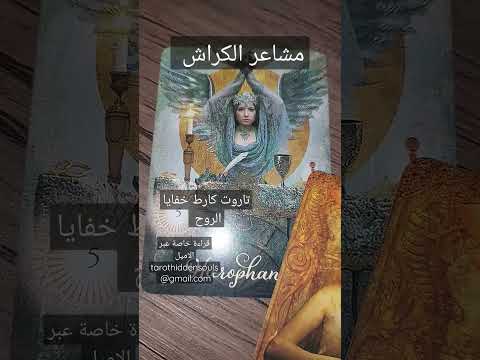 مشاعر الكراش كراش Shorts تاروت 