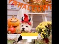 A Home Seller Guide for Halloween Decorating