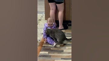 Cat Calms Down a Baby || ViralHog