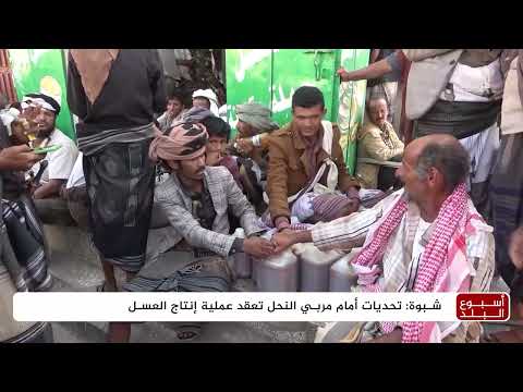 شروط تصدير العسل تقف عائقا أمام الآف النحالين في شبوة