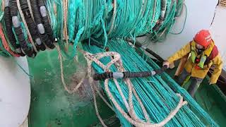 Sunbeam Herring 2019 gopro