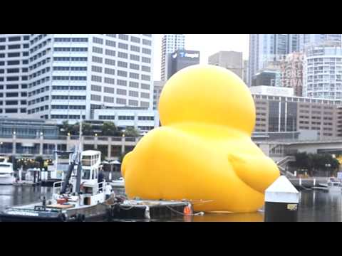 Festival TV: Rubber Duck