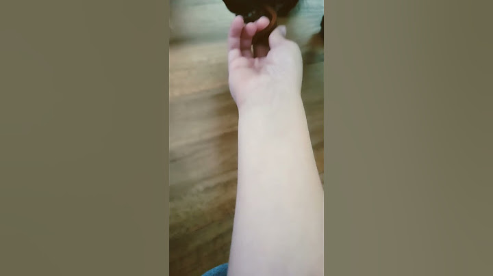 Showing how I love my Dog Thor.