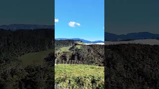 Katikati New Zealand