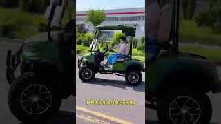 Luxury Electric Sightseeing Cart 🚗 | Affordable Smart EV with Real Car Steering Feel #myev #evupdate