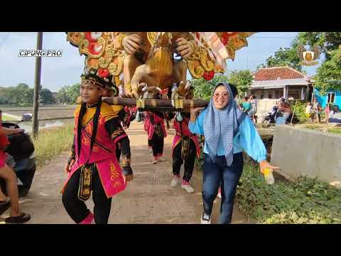 BALUNG JAGUNG | ANGGA PUTRA Voc. Devi Manual | Lobener Blok Berok - Indramayu - Singa Dangdut