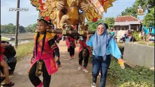 BALUNG JAGUNG Voc. Devi Manual ANGGA PUTRA | Payindangan Wetan - Indramayu | Singa Dangdut