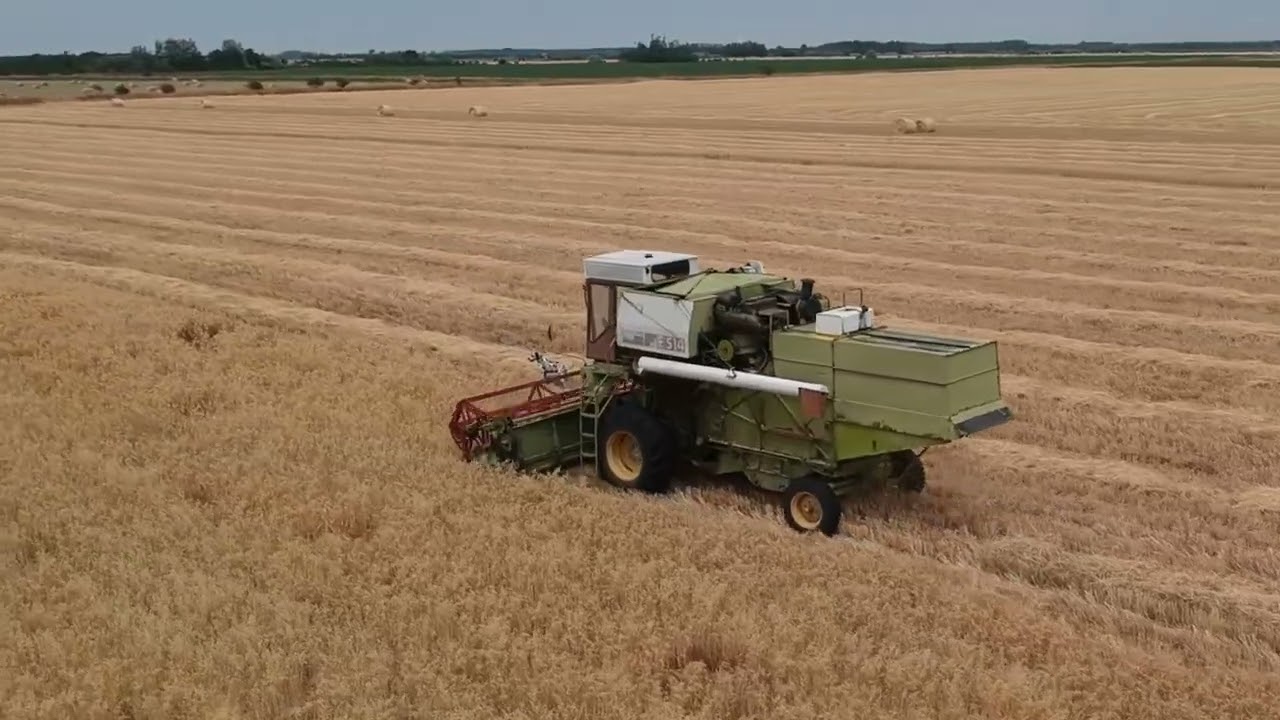 Arat - Dalmata és Fortschritt E-514 zab aratás