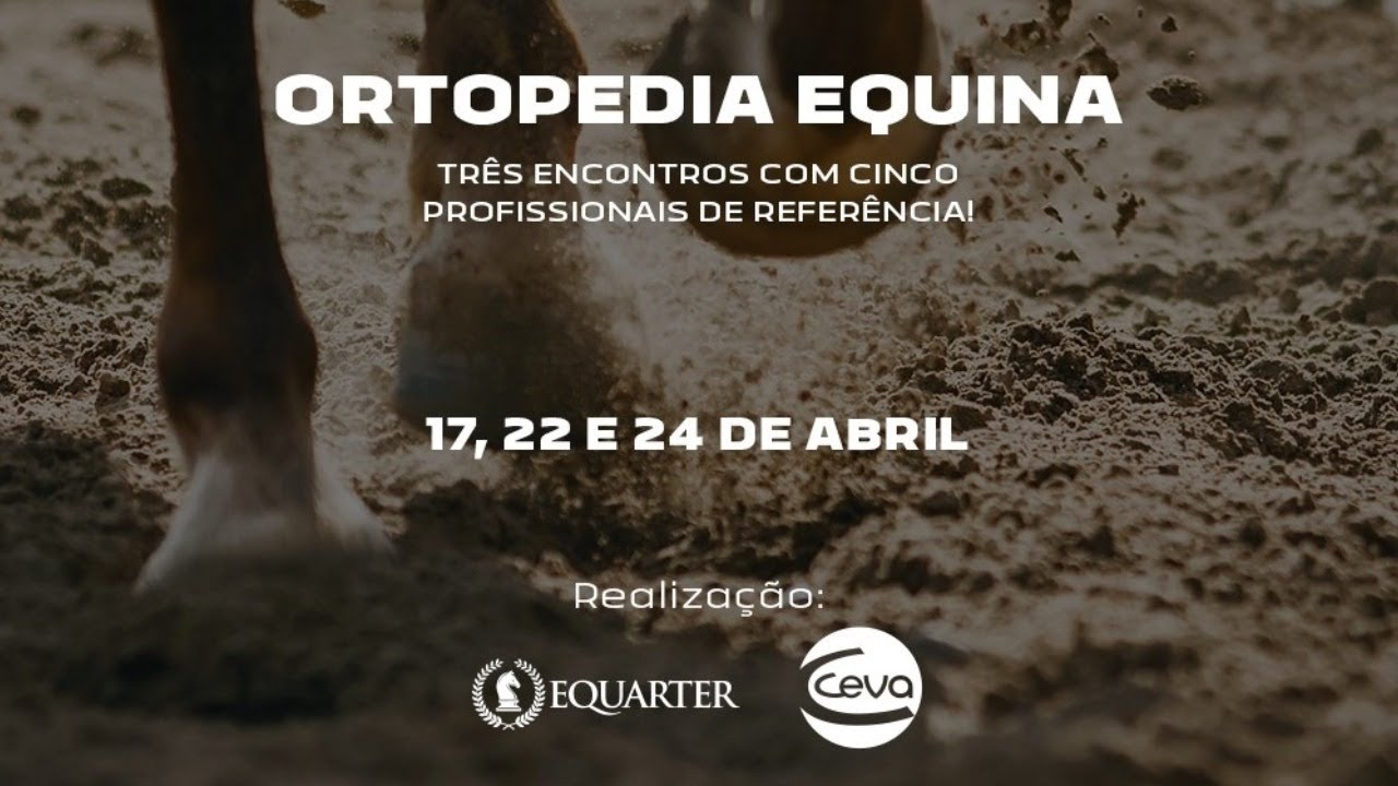 Webinar Ortopedia Equina Ceva Saúde Animal e Equarter: Esparavão Ósseo