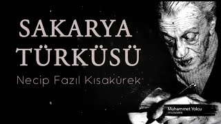 SAKARYA TÜRKÜSÜ ŞİİRİ | NECİP FAZIL KISAKÜREK (Sesli Şiir)🎼🎙 Resimi