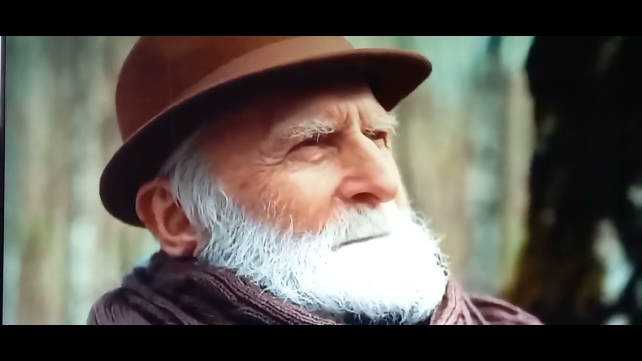 СТАРИК. Песня в три аккорда. - YouTube