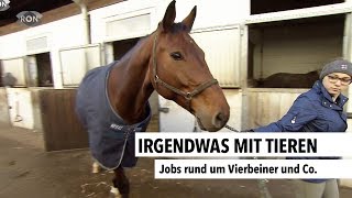 Bei welchem Beruf arbeitet man mit Tieren?
