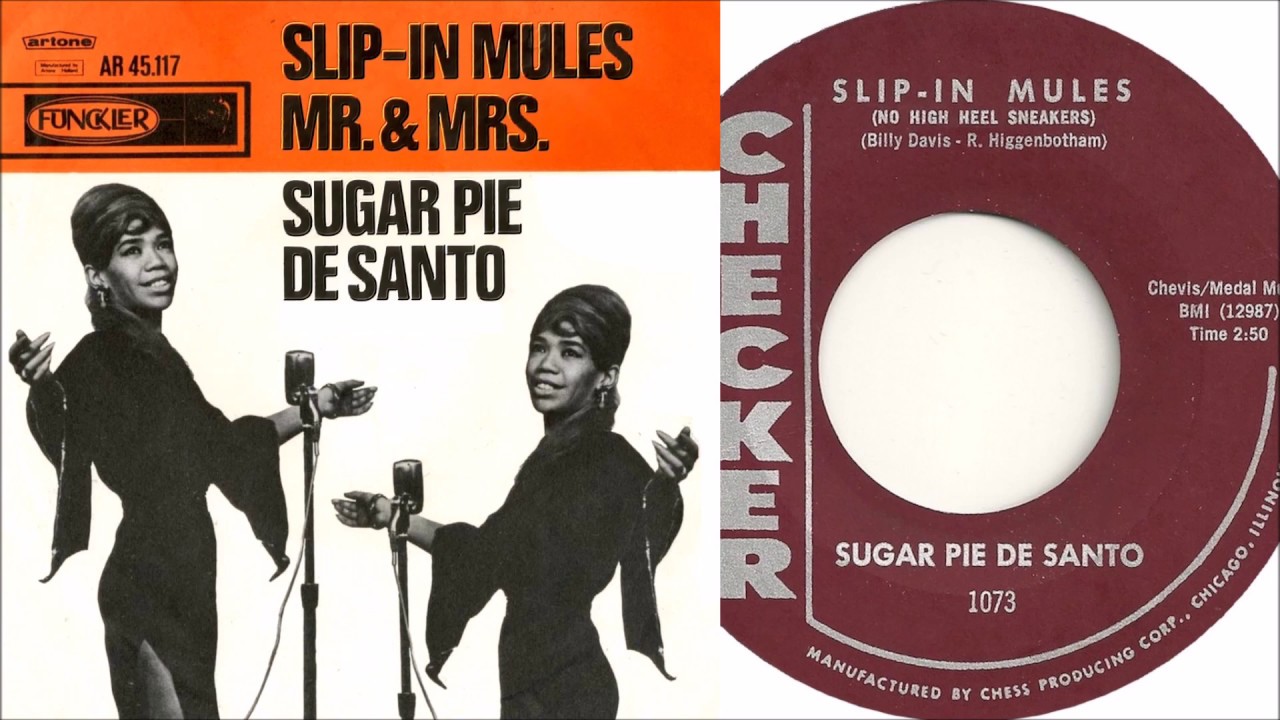 Sugar Pie Desanto  - Slip-in Mules (No High Heel Sneakers)