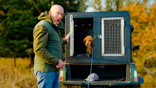 Gun Dog Training: Hunting Through the Woods