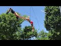 Sailor circus flying trapeze demonstration at 2017 smithsonian folklife festival