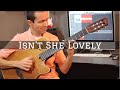 Isn't She Lovely | Fingerstyle