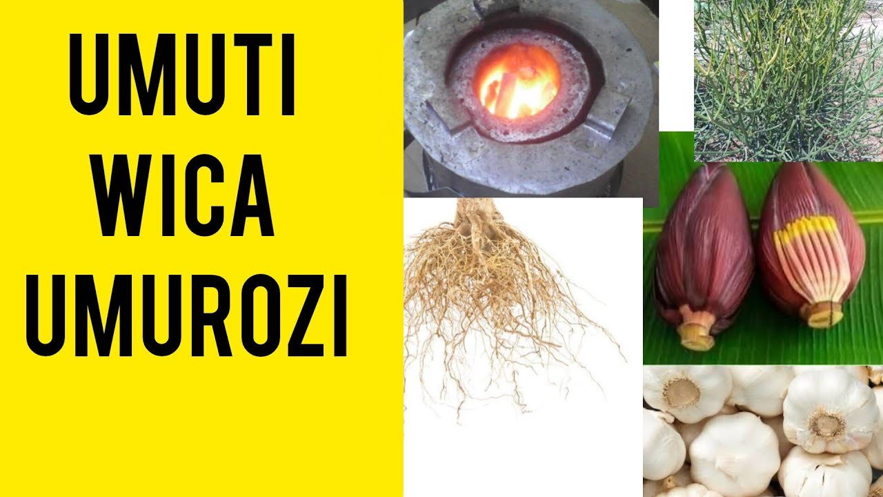 UMUTI WICA UMUROZI UGAKURAHO N'IBYOHERANO.