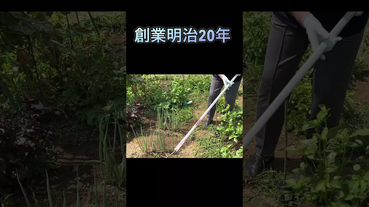 実演❗️草取り最強アイテム 野口式万能両刃鎌 元祖三角ホー