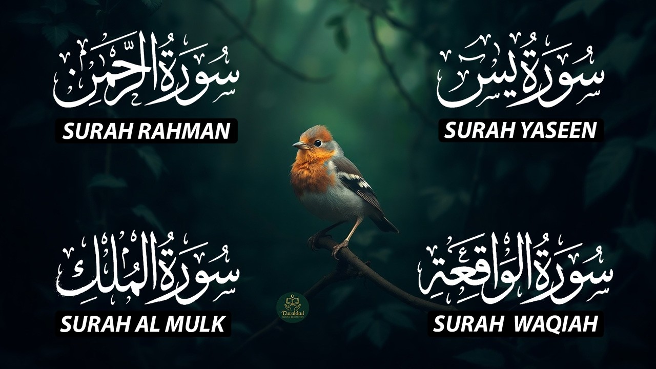 The Best Recitation Surah Yaseen (Yasin) | Surah Rahman | Surah Waqiah | Surah Mulk