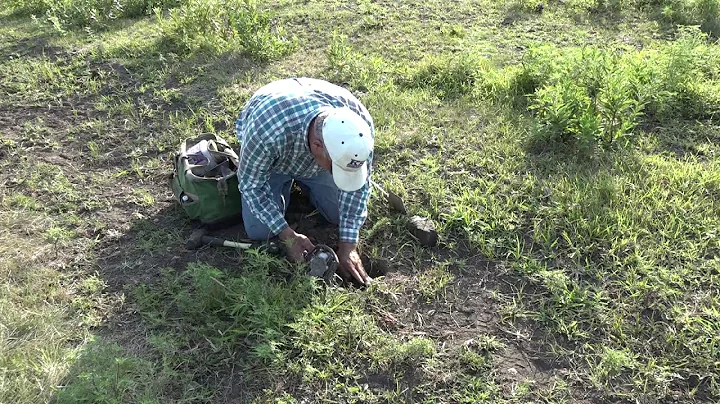 Coyote Trapping: Flat Set