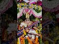 #day8navaratri #saraswati alankarana rajeswari temple nellore 🙏