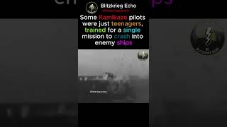 Kamikaze Pilots – Japan’s Last Hope in WW2 ⚔️✈️ | blitzkrieg echo | #WW2History #Aviation