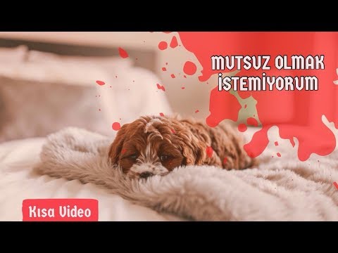 ÇOK YALNIZIM , MUTSUZUM ARTIK DİYORSAN İZLE - ÖYLEYSE İZLE KARDEŞİM - KISA VİDEO - UĞUR AKKAFA